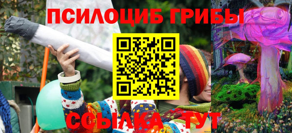 Псилоцибиновые грибы Cubensis  купить наркоту  Томск  Вход с VPN 